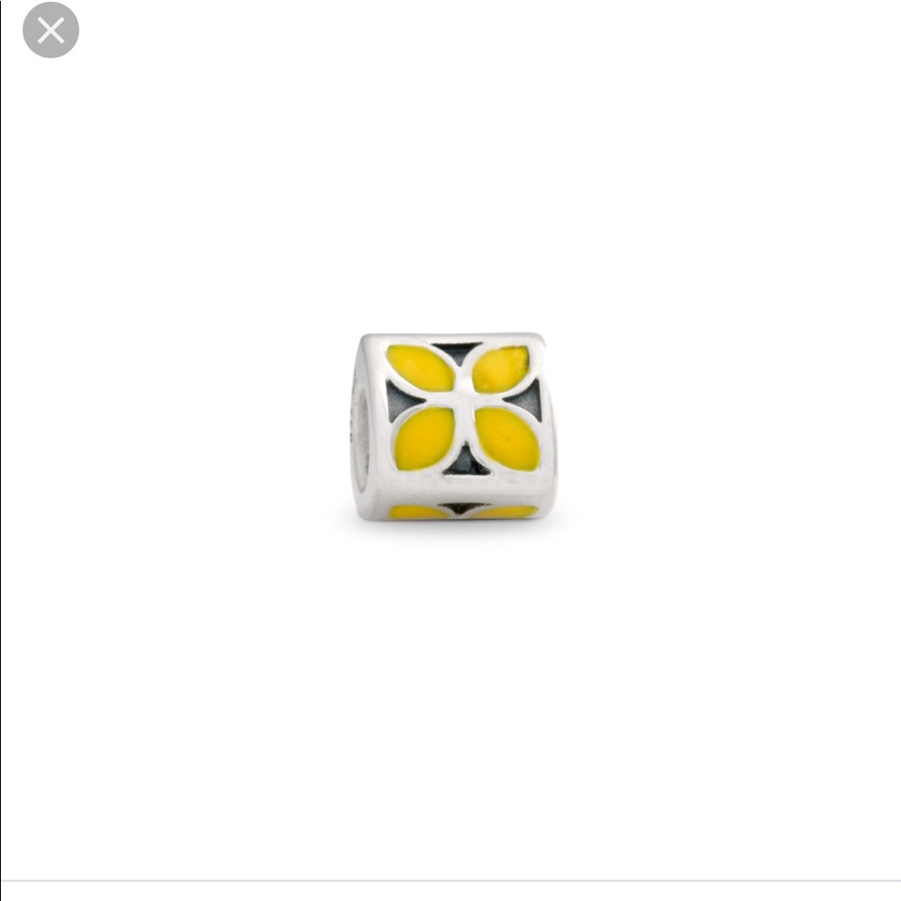 Authentic retired SS Pandora charm 790437EN06